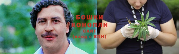 дмт Лиски