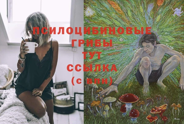 дмт Лиски