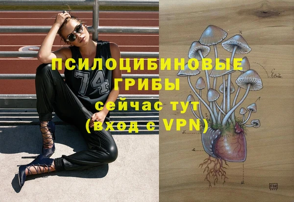 мет Липки