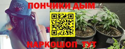 хмурый Гатчина