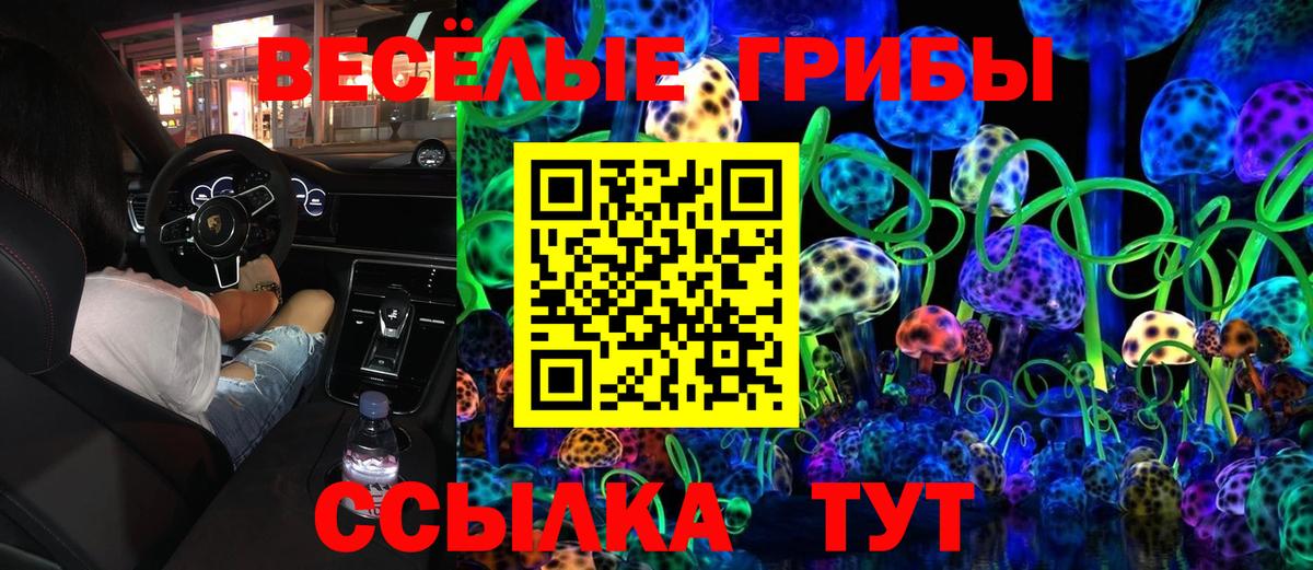 Галлюциногенные грибы ЛСД Заринск