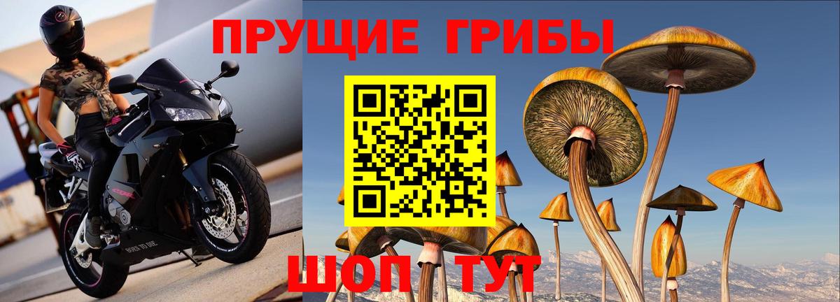 Галлюциногенные грибы MAGIC MUSHROOMS Заринск