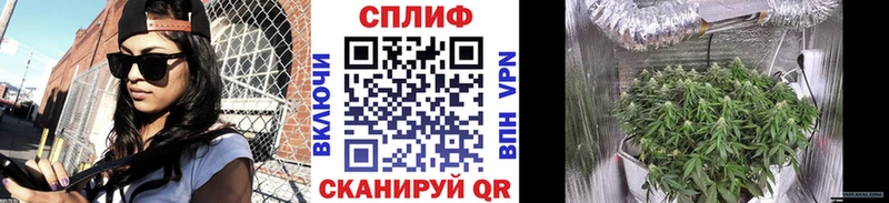 Шишки марихуана гибрид  Заринск 